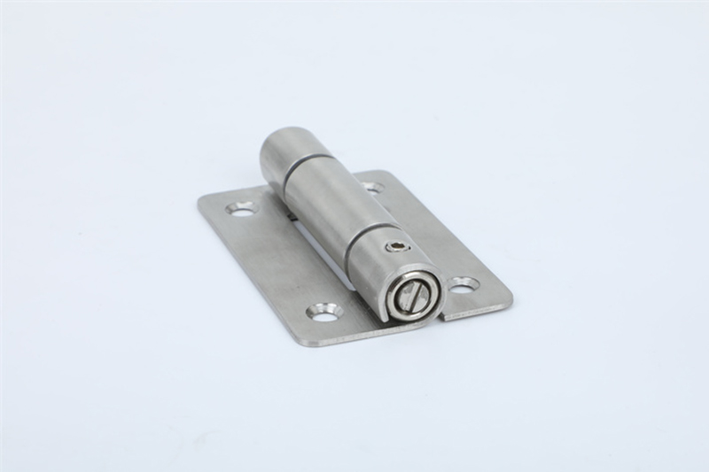 Stainless Steel Door Spring Hinge