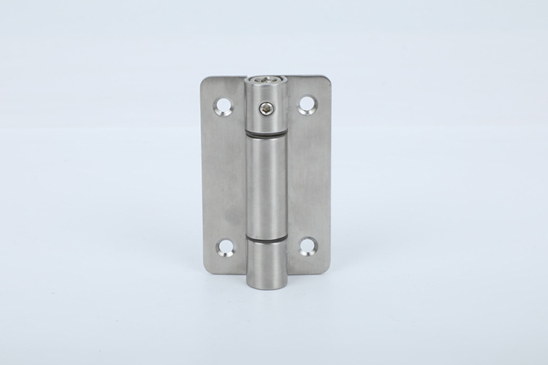 Stainless Steel Door Spring Hinge