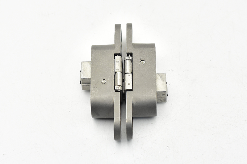 Stainless Steel Heavy Duty Door Hinge