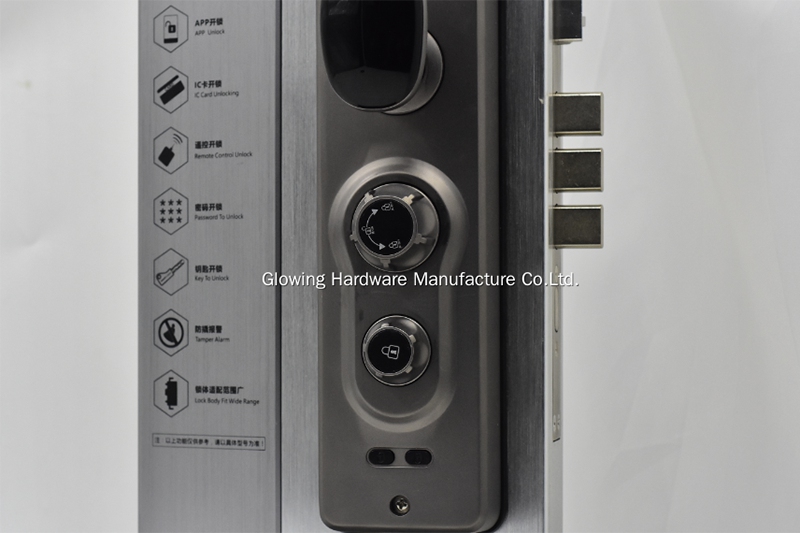 Electric Fingerprint Face Recognition Door Lock