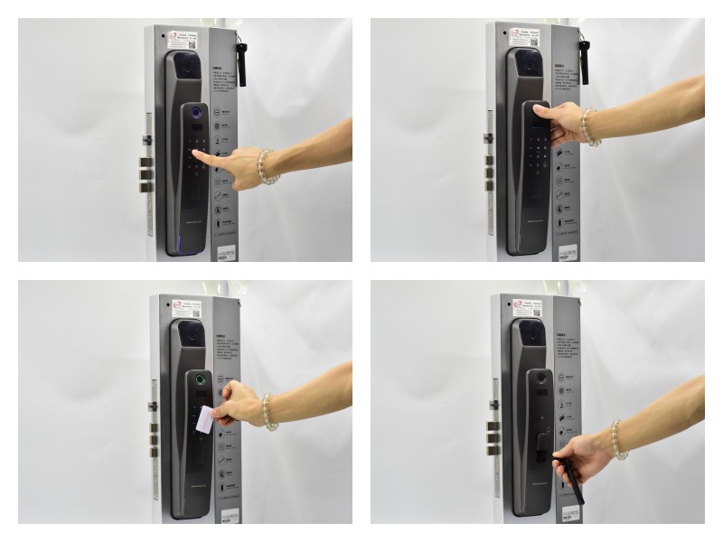 Electric Fingerprint Face Recognition Door Lock