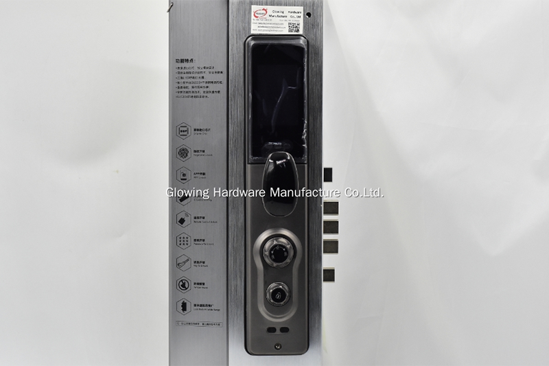 Electric Fingerprint Face Recognition Door Lock