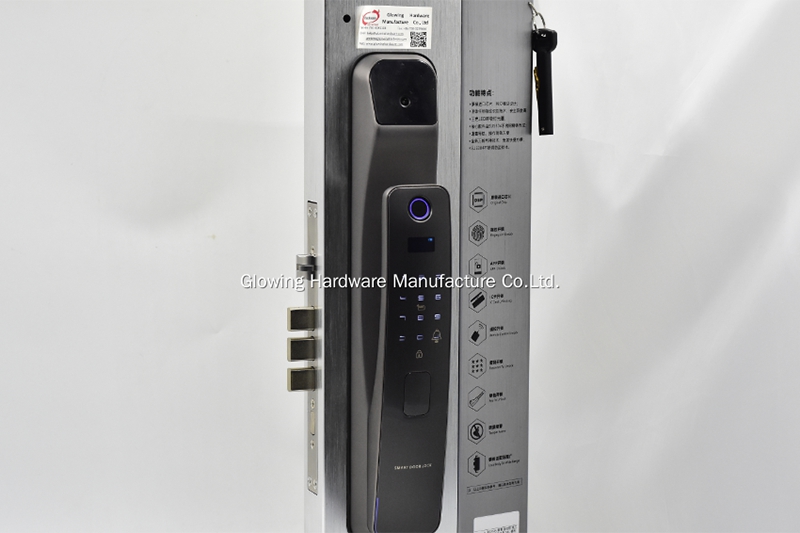 Electric Fingerprint Face Recognition Door Lock