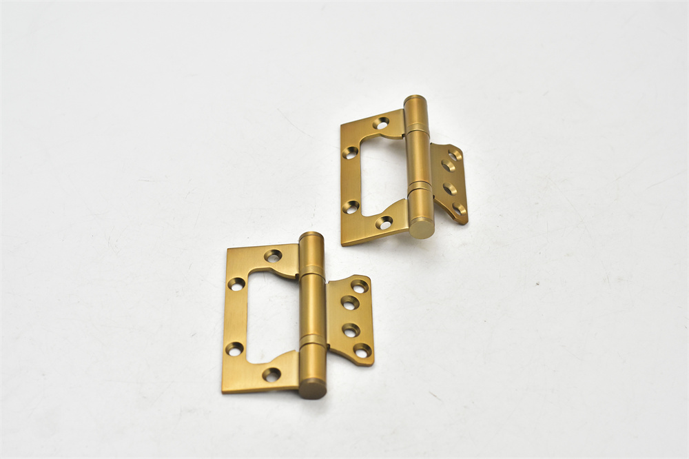 Butterfly Flush Golden Door Hinge