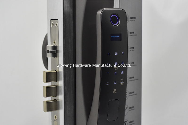 Electric Fingerprint Face Recognition Door Lock